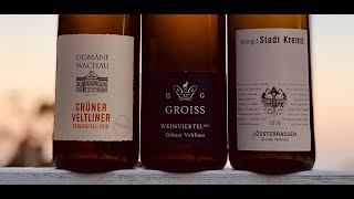 Intro to Austrian Grüner Veltliner [upl. by Ndnarb]