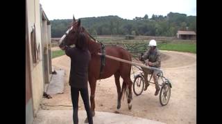 REPORTAGE ÉCURIE BERNARD GRASSETCHAPITRE 1 [upl. by Ahsii]