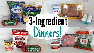 The EASIEST 3 Ingredient Dinners  Quick Tasty amp Cheap Meals MADE EASY  Julia Pacheco [upl. by Mir]