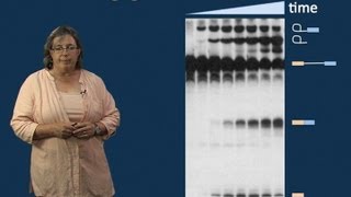 Melissa Moore U MassHHMI Part 2 Spliceosome Structure and Dynamics [upl. by Serafina971]