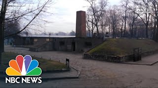 Auschwitz Survivors Return To Death Camp 75 Years Later‌  NBC Nightly News [upl. by Alabaster]