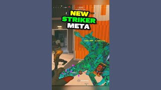 NEW META Striker Loadout [upl. by Orling]