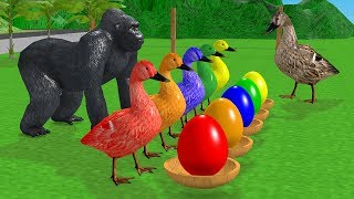 Learn Colors with Farm Animals for Children Ducks and SurpriseEggsBaby Goose Cartoon [upl. by Kcirdlek]