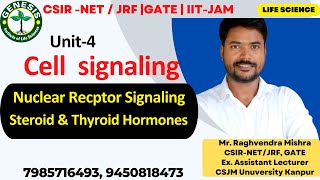 Nuclear Receptor Signaling  Steroids and Thyroid Hormone Signaling  Cellular communication  L9 [upl. by Tehr]