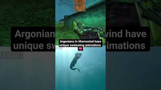 Argonians in Morrowind have unique swimming animations skyrim oblivion morrowind elderscrolls [upl. by Airetas]