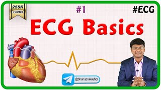 1 ECG Basics  ECG assessment and ECG interpretation made easy [upl. by Aina]