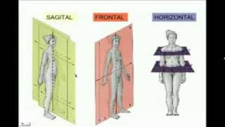 Anatomia Espacial quotposición anatómica planos y ejesquot [upl. by Kaufman]