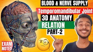 Anatomy of temporomandibular joint relations  Relations of temporomandibular joint anatomy [upl. by Otrebireh]