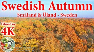 Swedish Autumn  Småland amp Öland  Sweden [upl. by Eidderf742]