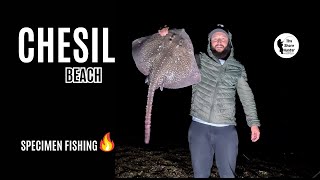 UK Beach Fishing Chesil Beach Catching Big Fish Wayne Hand 4K [upl. by Brant860]