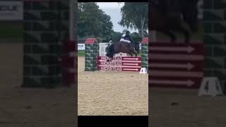 Saffy at hickstead [upl. by Ilohcin38]