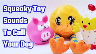 Your Dog Will Come To You With These Squeaky Toy Sounds [upl. by Accebber]