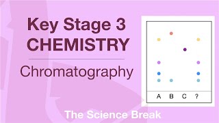 Key Stage 3 Chemistry  Chromatography [upl. by Lemhar]