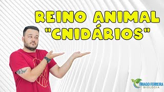 QUEM SÃƒO OS CNIDÃRIOS  CELENTERADOS AULA 03  ZOOLOGIA  PROFESSOR THIAGO FERREIRA [upl. by Arnulfo]