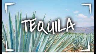 TEQUILA JALISCO 🥃 ► 3 LUGARES que debes VISITAR📍  VLOG SINPOSTAL [upl. by Otiv809]