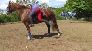 FUNNY HORSE FAIL [upl. by Javed611]