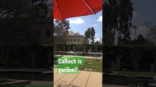 Caltech is garden or campuscaltech mituniversity pasadena [upl. by Hebbe127]