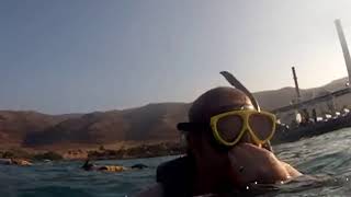 Ko Olina Marina Snorkeling Tour [upl. by Dedie407]