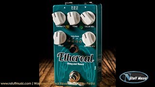 Wampler Ethereal Reverb and Delay Pedal  InDepth Review [upl. by Ebenezer728]