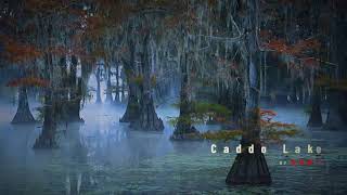 Caddo Lake In Fall [upl. by Anahsirk]