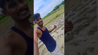 jindabad jawani jindabad kisani khet ropte samay mini vlogs [upl. by Eikcor]