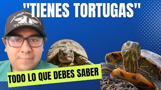 Todo lo que debes saber acerca de las tortugas como mascotas [upl. by Monafo]