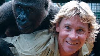 The Untold Truth Of Steve Irwin [upl. by Atinra107]