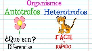 Organismos 🌿AUTÓTROFOS Y HETERÓTROFOS🐝 Fácil y Rápido  BIOLOGÍA [upl. by Androw]