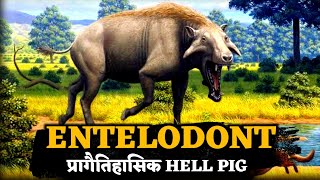 Facts about prehistoric hell pig Entelodont 😱।Biggest Entelodont Daedon। [upl. by Beverie]