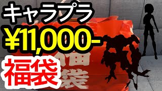 【福袋開封】11000円プラモ福袋を開封！！ガンプラに美プラも！？【謹賀新年】 [upl. by Eornom]