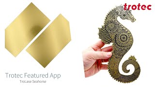 Trotec Featured Laser App TroLase Seahorse [upl. by Noimad]