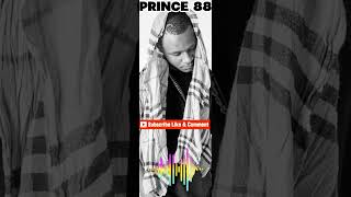 Shisa amp Chill  Amapiano Mix  By PRINCE 88  NOV 2023 P2 [upl. by Irra]