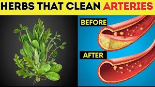 Magical Herbs To Clean Your Arteries  Herbs To Clean Blood Vessels  Herbs For Arteries [upl. by Bough964]