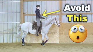 POSTING TROT FOR BEGINNERS TIPS 🐴 [upl. by Tanhya]