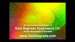 Nareem  Ayahuasca experience Gaia Sagrada Retreat Center [upl. by Atreb213]