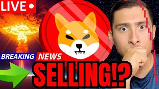 SHIBA INU COIN WHO IS SELLING SHIB🔴BUYING CRYPTO [upl. by Nath497]