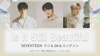 日本語字幕カナルビ 여전히 아름다운지相変わらず綺麗なのかIs It Still Beautiful – SEVENTEEN ウジ、ドギョム、スングァン賢い医師生活シーズン2 OST [upl. by Maze]