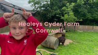 Healeys Cyder farm Cornwall [upl. by Capp]