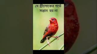 সন্তান হেফাজতে থাকবে ও গর্ভে সন্তান হবে kahealthandislam dua allahmohan shortsfeed [upl. by Wirth]