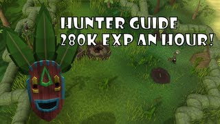 Runescape  Hunter Guide  80 Method Igneous and Carrion Jadinkos MoneyK1lls [upl. by Othilia]