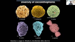 Imaging Matters Dr Fabio Nudelman  Coccolithophore Biomineralisation [upl. by Luelle]