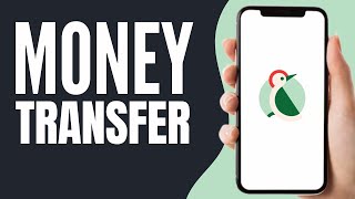 How to Use TapTap Send 2024  TapTap Send Money Transfer [upl. by Julia]