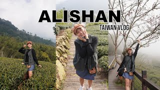 🇹🇼 Alishan 阿里山 in 3 days  Taiwan Round Trip 台湾环岛 台北嘉義 石桌 things you need to know Ep 1 [upl. by Bruno]