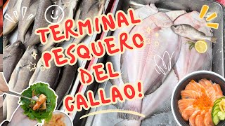 ¿QUE PESCADO COMPRE PARA UN BUEN CEVICHE ¡VISITE EL TERMINAL PESQUERO DEL CALLAO [upl. by Osbert]