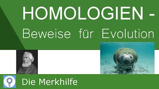 Homologien  Beweise für die Evolution  OntogeneseBiochemischampMolekularParasiten  Evolution 21 [upl. by Sapphire259]