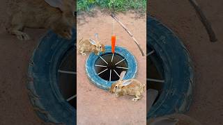 Survival Skills Simple But Very Useful with rabbit deep hole trap shorts survival outdoors [upl. by Aipotu]