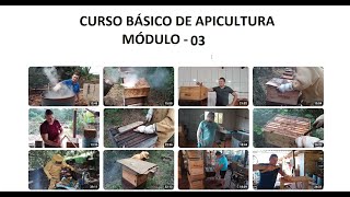 CURSO BÁSICO DE APICULTURA VÍDEO 03 [upl. by Norym]