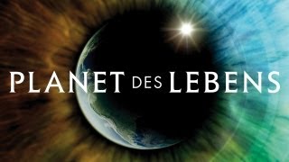 Planet des Lebens  Trailer HD Deutsch  German [upl. by Penn726]