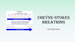 CheyneStokes breathing  causes pathophysiology in congestive heart failure sign value [upl. by Nob]