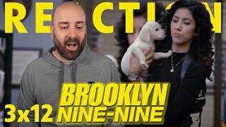 Brooklyn NineNine 3x12 Reaction  quot9 Daysquot [upl. by Dickey]